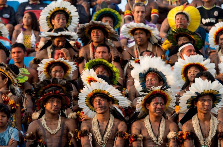  Morte de indígenas, Maranhão. Alerta! Lei e justiça infames